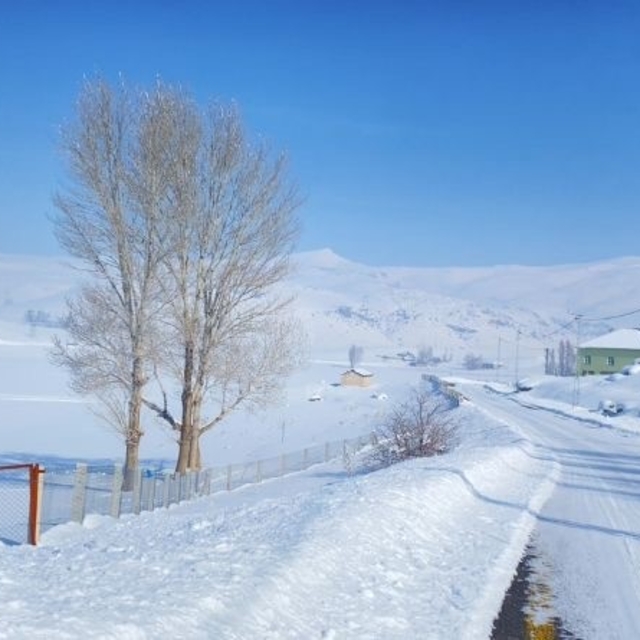 Ağrı kara teslim oldu