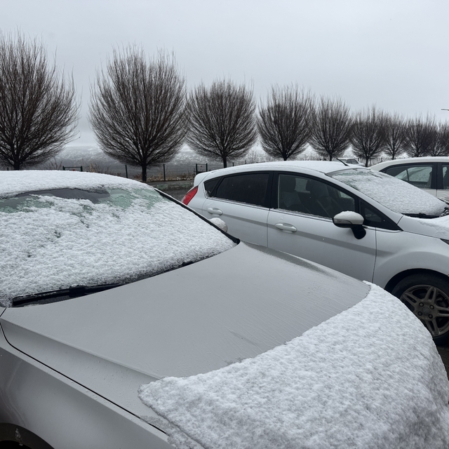 Iğdır'da yüksek kesimler karla yeniden beyaza büründü