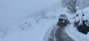 Batman'da 115 yerleşim yerinin yolu kardan kapandı