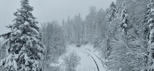 Sinop ve Samsun'da kar etkili oluyor