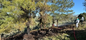 Bodrum'da ağaçlık alan yakınında çıkan yangın söndürüldü