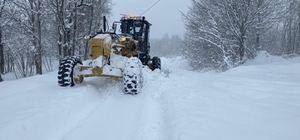 Salıpazarı ilçesinde kar yağışı etkili oluyor