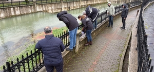 Uludere Çayı'nda binlerce ölü balık bulundu: Ekipler seferber oldu