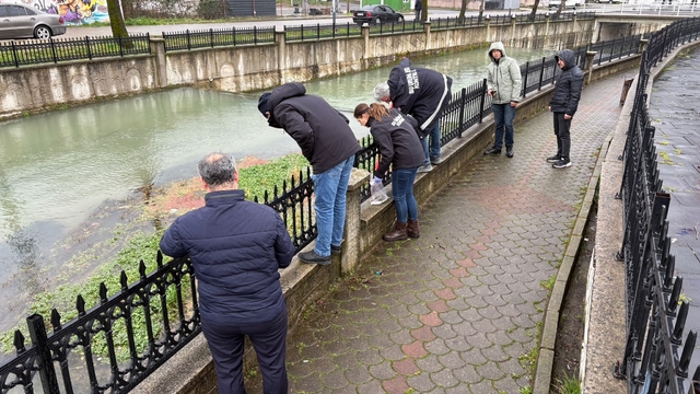 Uludere Çayı'nda binlerce ölü balık bulundu: Ekipler seferber oldu