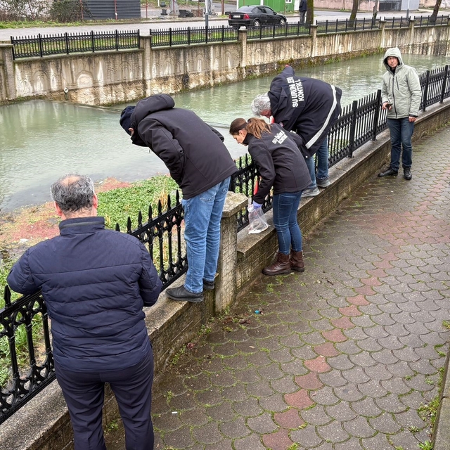 Uludere Çayı'nda binlerce ölü balık bulundu: Ekipler seferber oldu