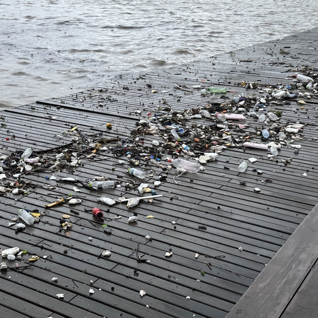 Dalgalarla sürüklenen plastik atıklar sahile vurdu