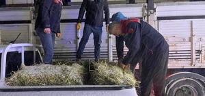 Erzurum’da yolda kalan tırlardaki hayvanlar beslendi