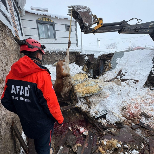 Çatısında kar biriken 2 ahır çöktü; 4 büyükbaş hayvan öldü