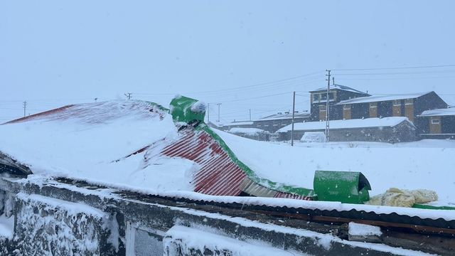 Kars'ta biriken kar nedeniyle çöken iki ahırdaki 4 büyükbaş hayvan telef oldu