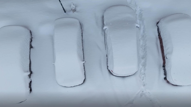 Erzurum kara gömüldü; 2004'ten sonraki en yoğun yağış