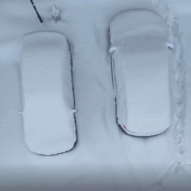 Erzurum kara gömüldü; 2004'ten sonraki en yoğun yağış