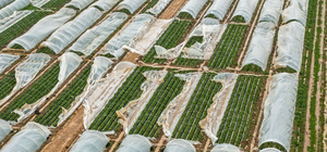 Antalya'da fırtına, hortum ve sel felaketinin faturası 3 milyar TL