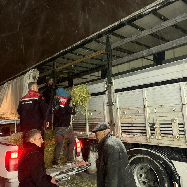 Hayvanlar aç kalmasın diye imdada yetiştiler