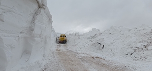 Türkiye-İran sınır hattında karla mücadele çalışması