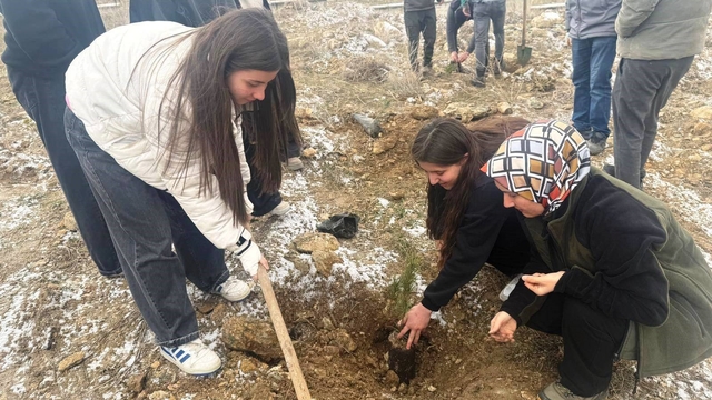 Altıntaş'ta lise öğrencileri fidan dikti