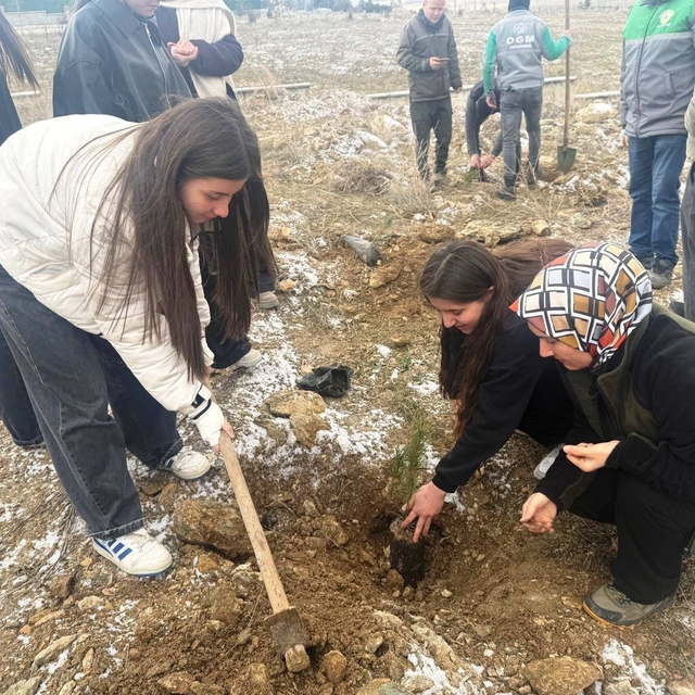 Altıntaş'ta lise öğrencileri fidan dikti