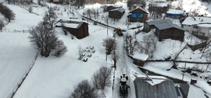 Artvin Orman Bölge Müdürlüğü'nden karla mücadeleye destek