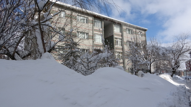 Bitlis'te kardan kapanan 254 köy yolu ulaşıma açıldı