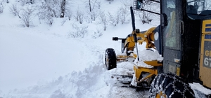 Trabzon'da karla mücadele sürüyor