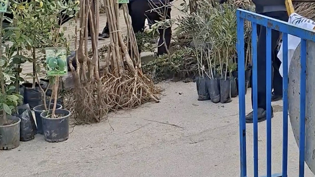 Bursa'da seyyar satıcılardan zabıtaya bıçaklı saldırı, 1 zabıta yaralandı