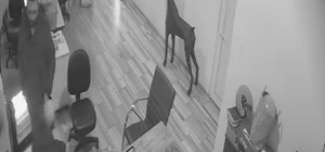 Bursa’da arkadaşına şaka yapmak isterken elini yaktı