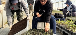 Zeytincilik öğrencileri BAÇEM’de uygulamalı eğitim aldı