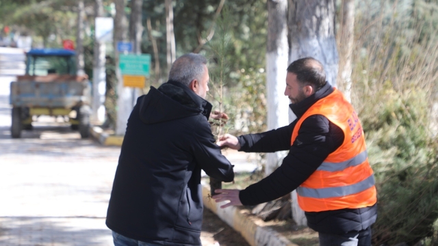 Elazığ Belediyesi'nden vatandaşlara ücretsiz fidan desteği