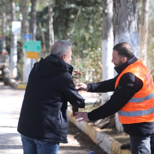 Elazığ Belediyesi'nden vatandaşlara ücretsiz fidan desteği