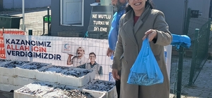 Edirne'de 350 kilogram hamsi dağıtıldı