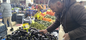 Antalya'daki olumsuz hava şartları patlıcanın tadını kaçırdı