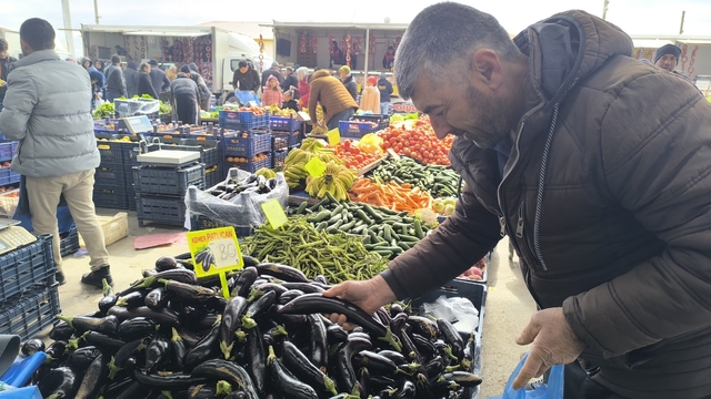Antalya'daki olumsuz hava şartları patlıcanın tadını kaçırdı