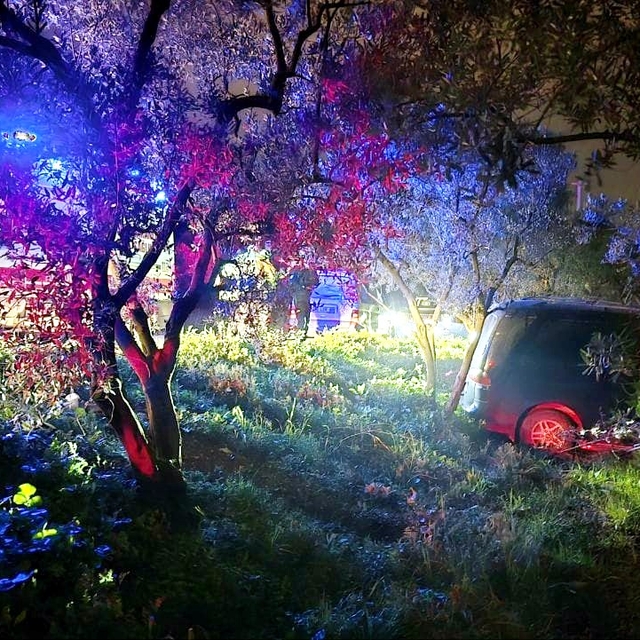 Mudanya'da kazadan kaçan sürücü zeytinliğe daldı