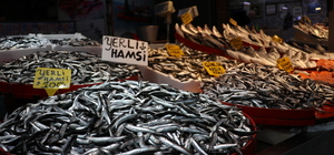 Trabzon'da balıkçı tezgahlarında hamsi ve istavrit ilgi görüyor