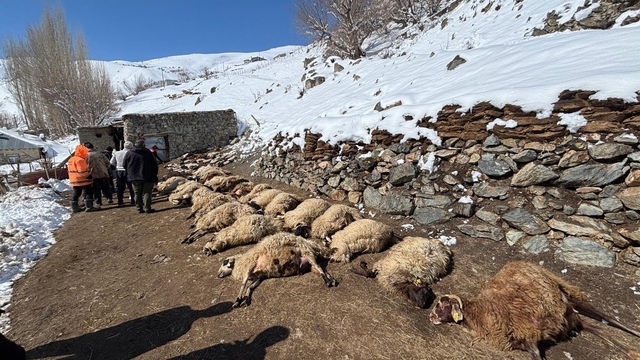 Ahırda çıkan yangında 67 küçükbaş ile 1 inek öldü