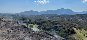 Muğla'da makilik alanda çıkan yangın söndürüldü