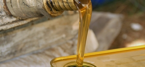 Türk çam balının dünya pazarındaki ekonomik payı arttırılacak