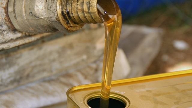 Türk çam balının dünya pazarındaki ekonomik payı arttırılacak