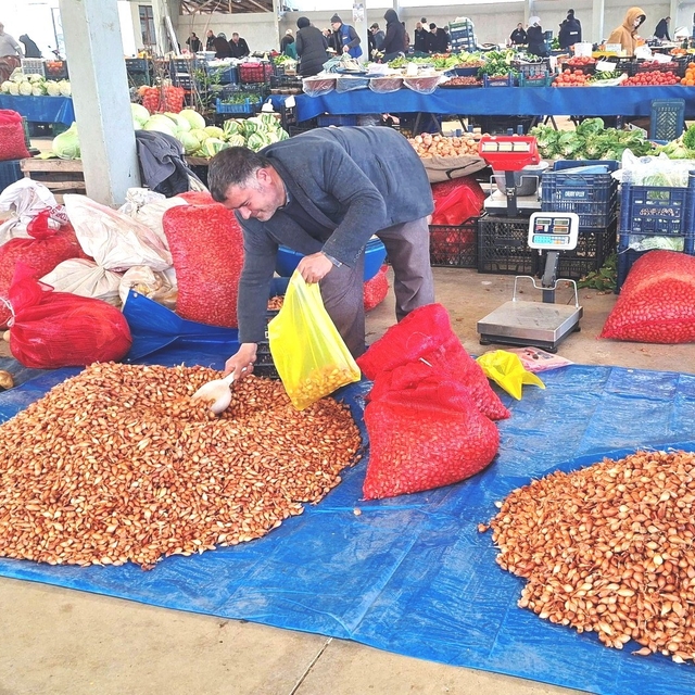 Tohumluk kuru soğanda üretim arttı, fiyat 150 liradan 100 liraya düştü