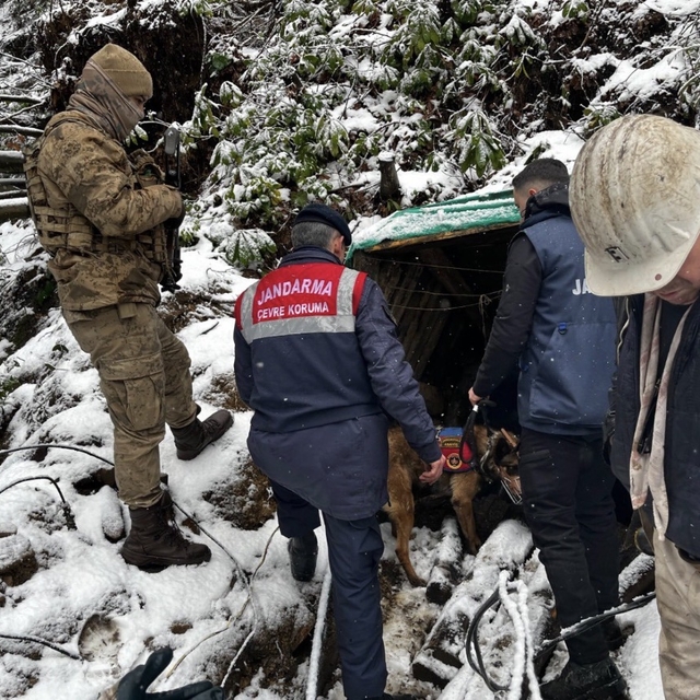 Zonguldak'ta ruhsatsız işletilen 10 maden ocağı imha edildi