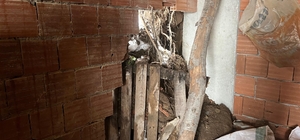 Çatalpınar'da ağılın çökmesi sonucu 4 küçükbaş hayvan telef oldu