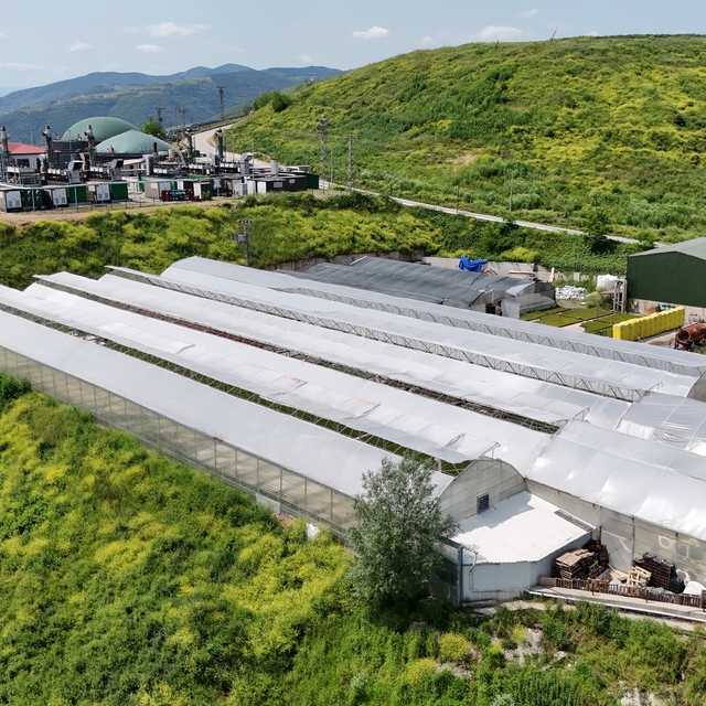 Samsun'da çöpten elde edilen ısıyla seralarda çiçek üretiliyor