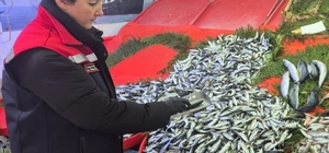 Tekirdağ'da su ürünlerine sıkı denetim