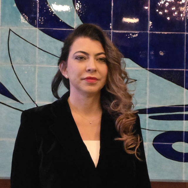 Nida Olçar: "Çiniciler Çarşısı'nın ikiye bölünmesi Kütahya çiniciliğine zar...