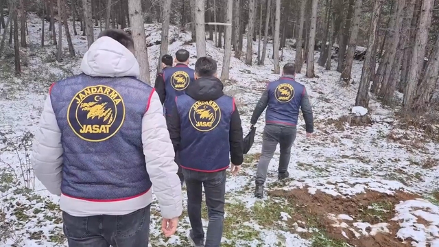 Ormanda bulunan kafatası ve kemik parçaları 2 kadına ait çıktı; 10 yıllık çifte cinayet aydınlatıldı