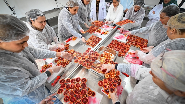 Mersin'de kan portakalı kadınların elinde değer kazanıyor