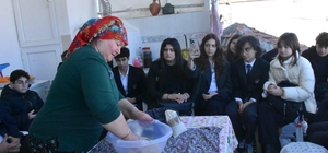 Deniz çayırı tohumları kuraklığa umut oldu