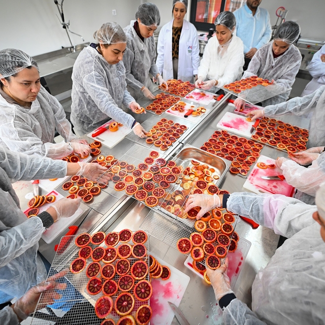 Mersin'de kan portakalı kadınların elinde değer kazanıyor