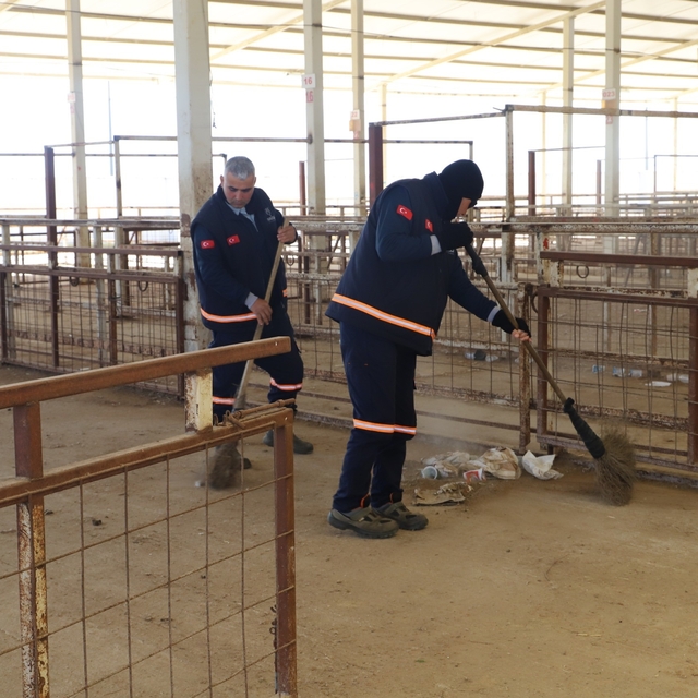 Nazilli Hayvan Pazarı 7 ay sonra yeniden açılıyor