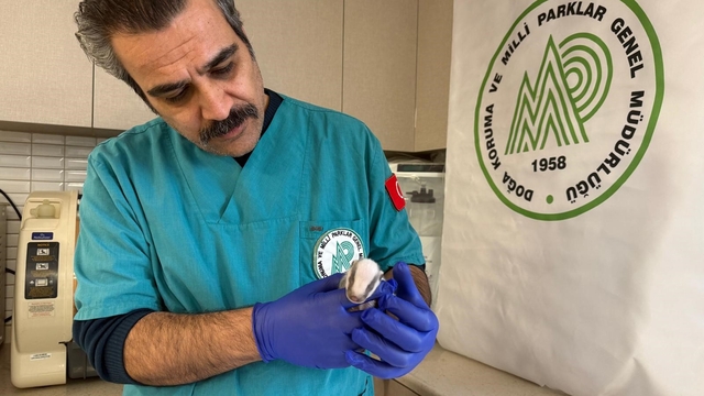 Balıkesir'de bitkin halde bulunan porsuk yavrusu koruma altına alındı