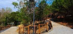 Sakaryalılar 23 Nisan Halk Koşusu'nda bulaşacak